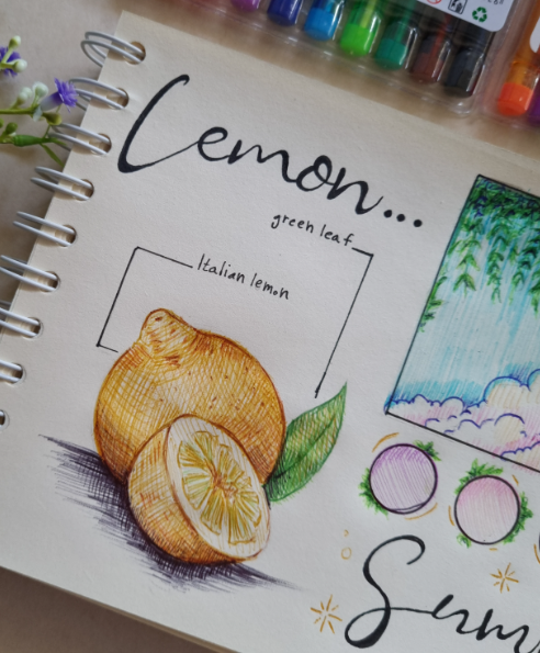  خودکار بیلارو مدل color pen (بسته 12 عددی) | BILARO بوک کلاب ایران 3 