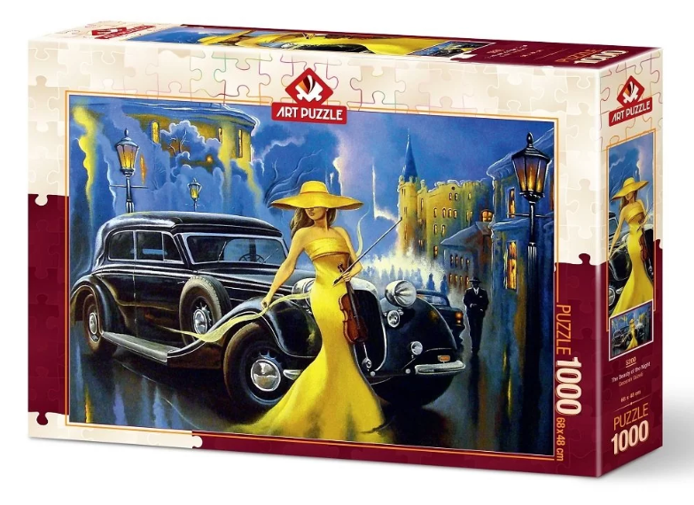  پازل 1000 تکه (The Beauty of the Night) شب زیبا مدل آرت کد 5200 | ART PUZZLE بوک کلاب ایران 1 
