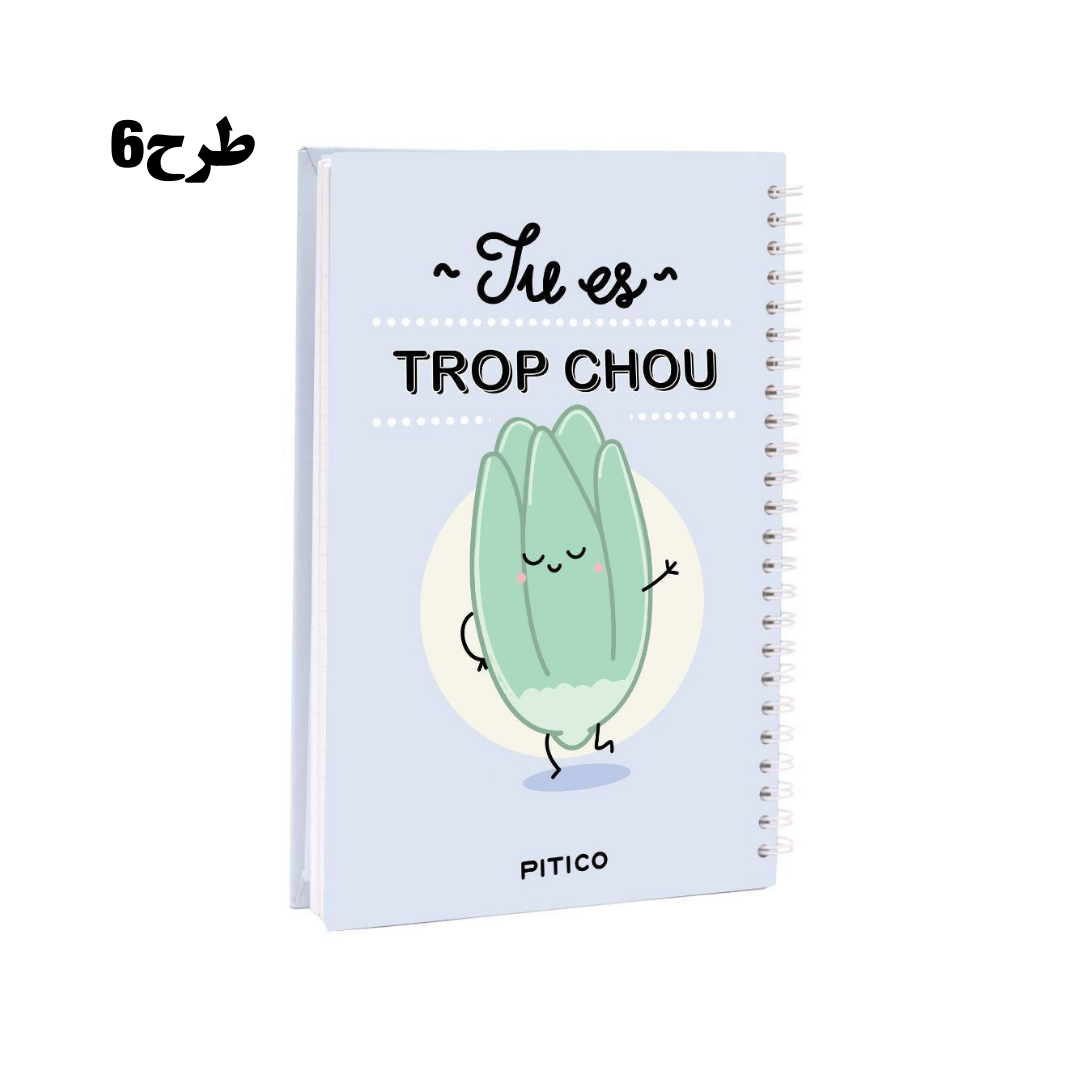  دفتر جلد سخت 100 برگ پیتیکو سری فرانسه ( کد 522 ) بوک کلاب 8 