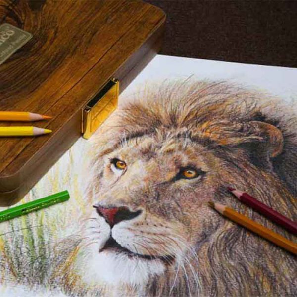 مداد رنگی ویکتوریا 48 رنگ جعبه چوبی کنکو | CANCO بوک کلاب ایران 7